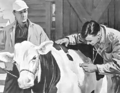 Bovine Tuberculosis Image